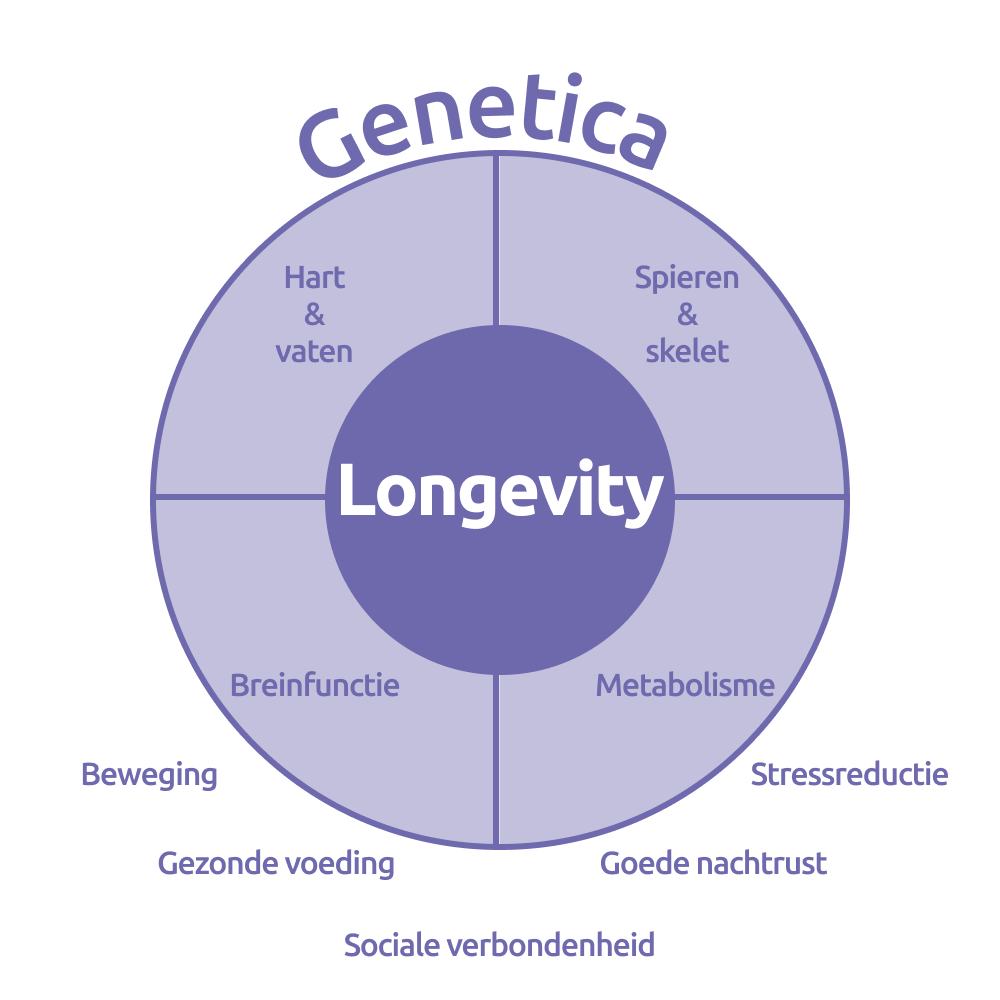 Wheel of Longevity