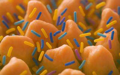 Microbioomanalyse